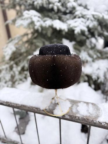 Шапки: Шапка, Норка, Зима at lalafo.kg — 8 Шапки: Шапка, Норка, Зима — 8