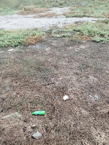 lacin ticarət mərkəzi: 1000 sot Kommunal xətlər qoşulmayıb — 2