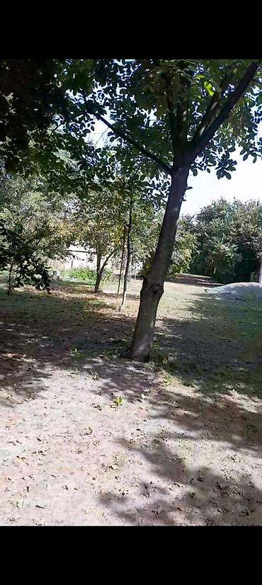 daşınmaz əmlakın satışı: 75 sot, Tikinti, Mülkiyyətçi, Kupça (Çıxarış) — 1