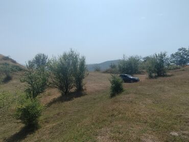 Дачи: 65 соток, Для сельского хозяйства, Купчая
