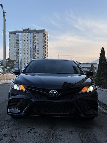Toyota: Toyota Camry: 2019 г., 2.5 л, Автомат, Бензин, Седан — 5