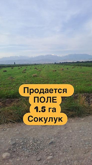 поливную: 150 соток, Для сельского хозяйства, Договор купли-продажи, Тех паспорт — 1