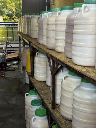 Мёд: Оптом горный мёд токтогульский токтогулдун тоо балы📍 Локация(сбора — 7