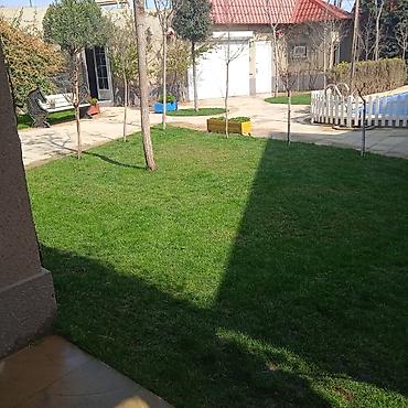 ot bicən aparatlar: Bağlarda suvarma sistemi ilə birlikdı qazon əkilməsi — 10