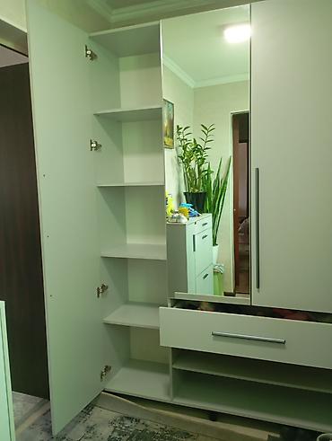 Шкафы-прихожие: Шкаф-прихожая, С зеркалом — 10