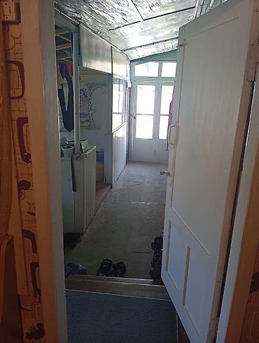 Деревянные штакетники: Деревянные штакетники, Покраска забора — 12