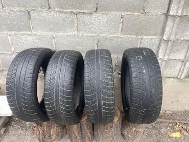 екскаватор 55: Шиналар 195 / 55 / R 16, Кыш, Колдонулган, Комплект, Кытай, Michelin