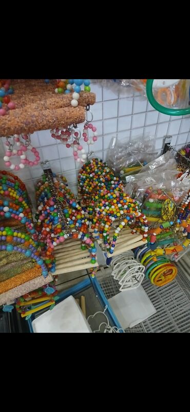 Qəfəslər: Yeni ve böyük qefesler var satişda yeni qəfəslərdi hər növdə var — 12