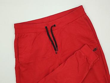 2nd hand: 4F, Spodnie dresowe damskie, rozmiar 3XL — 1