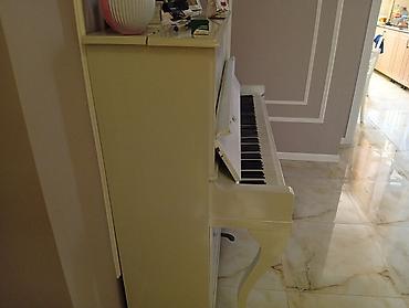 Pianolar: Ağ rəngli akustik pianino – vertikal (upright) model. Xüsusiyyətlər — 5
