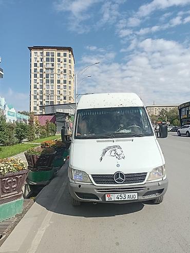 sprinter 516: Mercedes-Benz Спринтер: 2003 г., Бус — 1