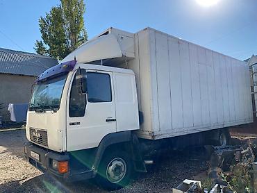 термо кинг v500 max: Грузовой автомобиль MAN 8.224 с изотермическим холодильник термокинг — 2