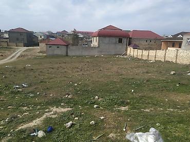 Torpaq: 10 sot, Tikinti, Mülkiyyətçi, Kupça (Çıxarış) — 3