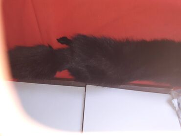 Krzneni kaputi: One size, Polarna lisica, bоја - Crna na lalafo.rs — 3 Krzneni kaputi: One size, Polarna lisica, bоја - Crna — 3