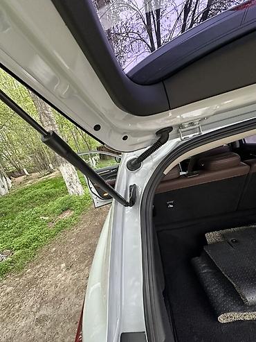 Changan: Changan : 2019 г., Газ — 30