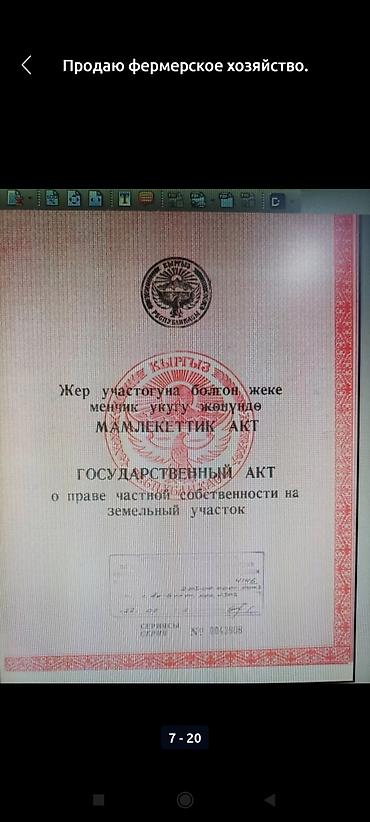 закрытием кафе: Продаю фермерское хозяйство. Кошара(бывшая МТФ),пруд,новый заложеный — 6