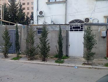 bine qesebesinde: Bakixanov qəsəbəsinin mərkəzində, əsas yoldan cəmi 35 metr məsafədə — 1