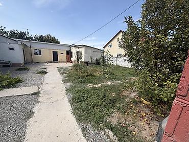 Дома: 🏠 ПРОДАЁТСЯ УЧАСТОК С ГОТОВЫМ ДОХОДОМ или МЕНЯЮ НА 2-ком.квартиру в — 3