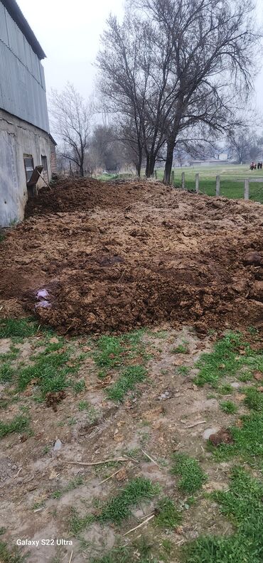 топлевный бак: Сколько дадите столько и возьму. самовывоз