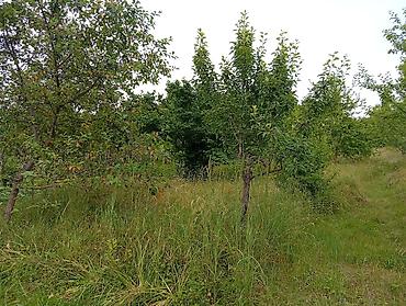 digah ev: 4 otaqlı, 150 kv. m, Kredit yoxdur — 3