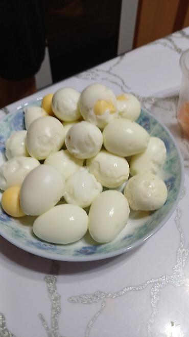 Азык-түлүктөр: Перепелинные яйца! Вкусные! Перепелов кормим только натуральным кормом — 4