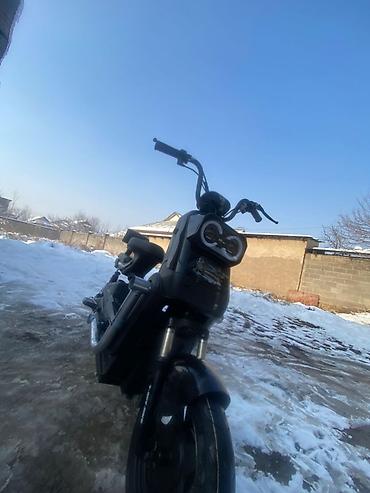 Скутеры: Электроскутер (городской мини-скутер) 500 WT, обмен интересует на — 5