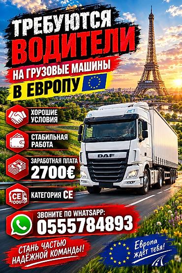 Башка транспорт: Идет на бор водителей в Европпу (Польша) на категорию СЕ можно без — 1