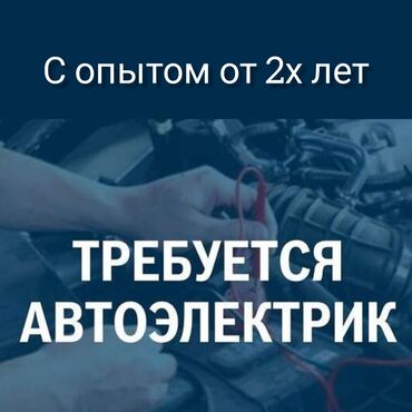 работа сто: Талап кылынат Унаа электриги, Төлөм Жума сайын, Кирешеден пайыз, 3-5 жылдык тажрыйба