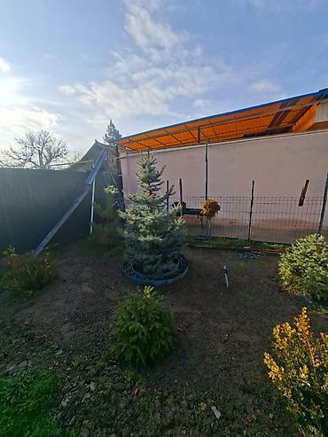 Продажа коттеджей и домов: Срочно продается благоустроенный отличный дом в селе Восток Площадь 74 — 10