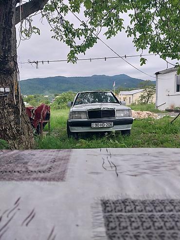 maşin satisi: Mercedes-Benz 190 (W201) sedan – ağ rəng - Kuzov: 4 qapılı sedan — 6