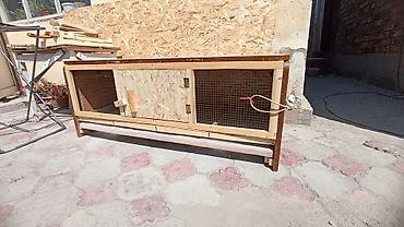 Зоотовары: Брудер для цыплят. универсальный Брудер жожого бодоного коенго хомяка at lalafo.kg — 13 Зоотовары: Брудер для цыплят. универсальный Брудер жожого бодоного коенго хомяка — 13