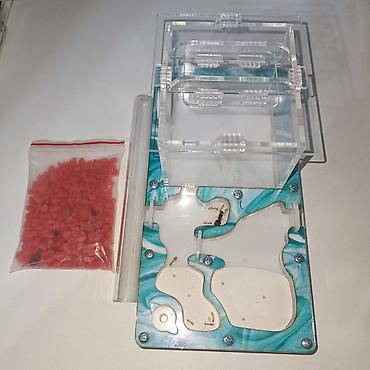 Другие животные: ‼️Колонии Муравьев с Формикариями разныные колоний большой выбор — 6