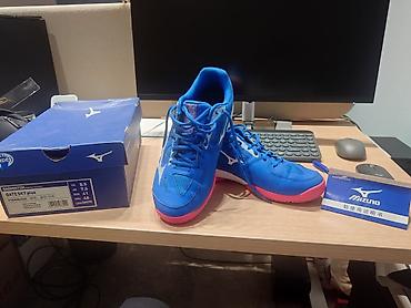 валейболный красовки: Mizuno Gate Sky – кроссовки для заловых игр - Тип — 1