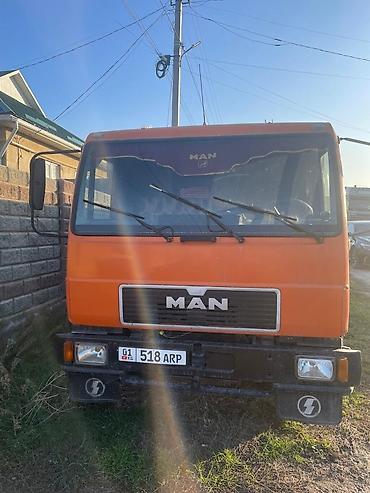 лампа для брудера: Грузовик, MAN, Стандарт, 5 т, Б/у — 2