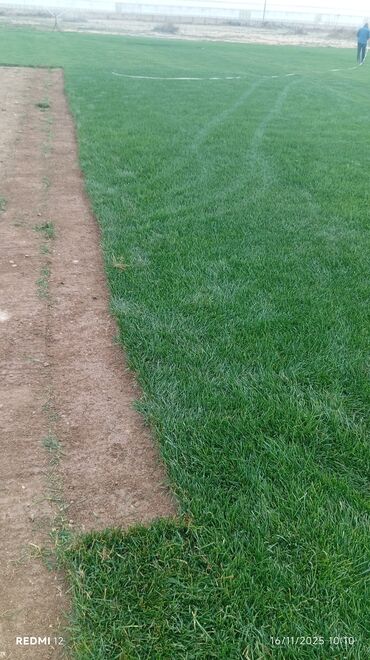 Torpaq sahələrinin satışı: Kənd təsərrüfatı, Mülkiyyətçi — 24