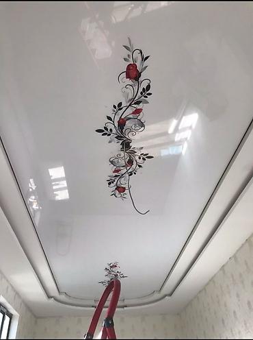 Натяжной потолок: Натяжной потолок Глянцевое, Матовое, 3D потолки Бесплатная консультация, Бесплатный замер — 4