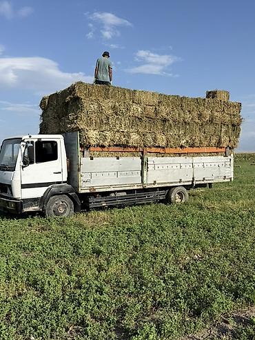 мерседес 1320: Mercedes-Benz : 1994 г., 6 л, Механика, Дизель — 6