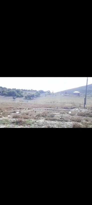 nzs qesebesinde 3 otaqli ev type 1: 20 sot, Tikinti, Mülkiyyətçi, Kupça (Çıxarış) — 5