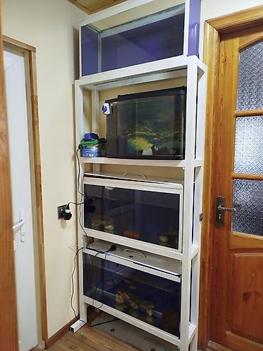 akvarium satışı: Çoxsəviyyəli akvarium stendi və akvariumlar - 4 mərtəbəli, möhkəm — 1