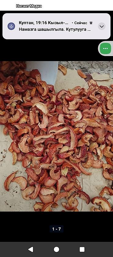 Другие фрукты: Алма как ортосу алынып күндүн нуруна кургатылган курук таптаза өрүк — 1