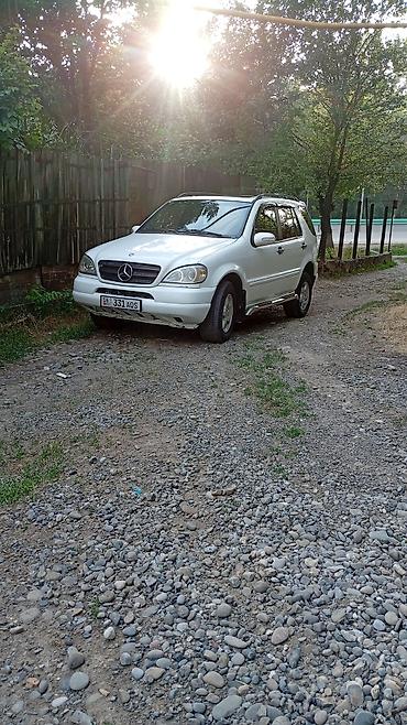 srv 3: Mercedes-Benz ML-Class AMG: 1998 г., 3.2 л, Автомат, Газ — 4