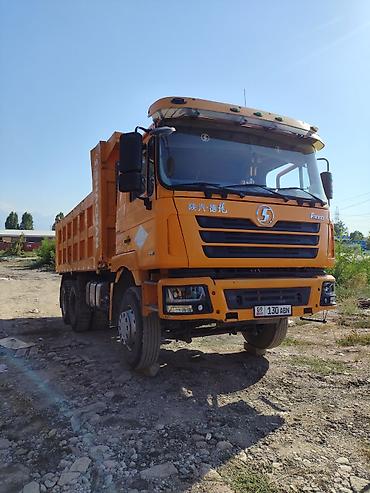 чистокровный тай: Самосвал SHACMAN F3000, оранжевый, колесная формула 6×4. Основные — 2