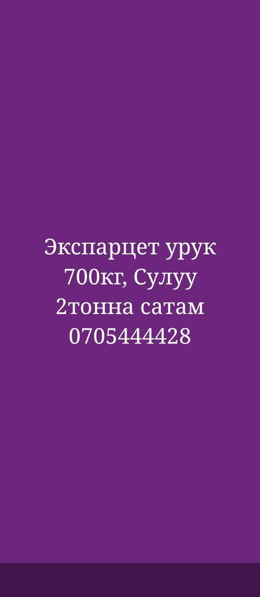 глицерол удобрения: Семена кормовых растений: Эспарцет, Платная доставка at lalafo.kg глицерол удобрения: Семена кормовых растений: Эспарцет, Платная доставка
