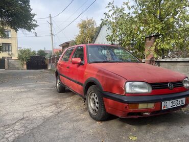 голфа: Volkswagen Golf: 1992 г., 1.8 л, Механика, Бензин, Хэтчбэк