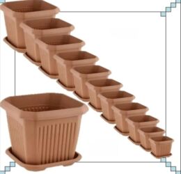 CD, DVD disklər və kassetlər: Dibcek Dibcek qabi yumru aq rengli gul.qabi yumru aq rengli dibcek — 28