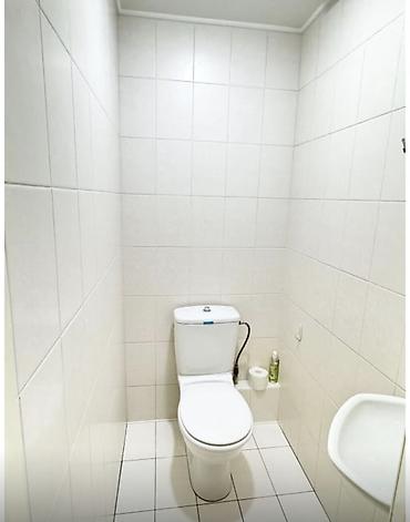 12: 3 комнаты, 116 м², Цум Индивидуалка, 12 этаж, Евроремонт — 6