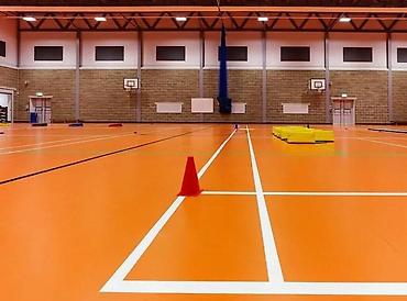 Линолеум: СПОРТИВНЫЙ ПВХ ЛИНОЛЕУМ По мнению специалистов, спортивный — 6