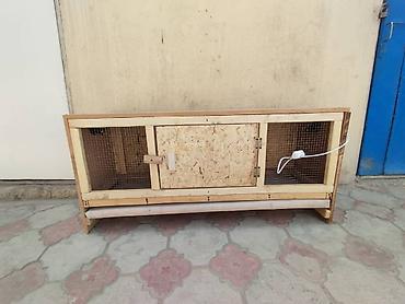 Зоотовары: Брудер для цыплят. универсальный Брудер жожого бодоного коенго хомяка at lalafo.kg — 9 Зоотовары: Брудер для цыплят. универсальный Брудер жожого бодоного коенго хомяка — 9