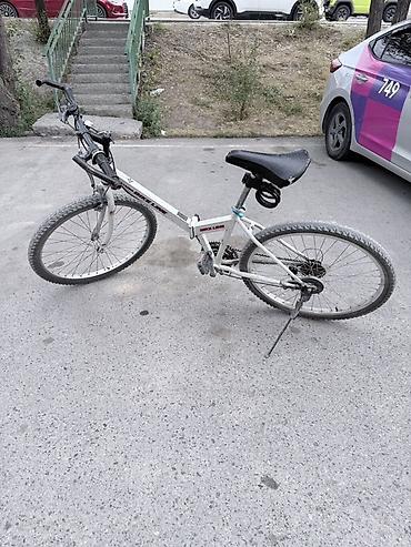мото ролик: Городской/горный велосипед Bike Line, классический хардтейл — 10