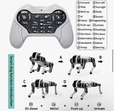qədimi oyuncaqlar: 🤖 Ağıllı Robot İt | 2.4GHz Pultla İdarə Olunan İnteraktiv Oyuncaq 🐶 — 3